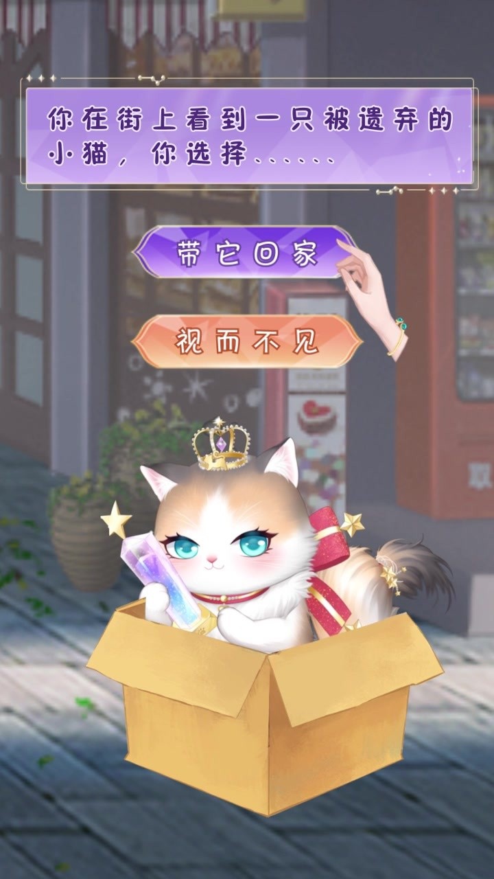 我的灵宠是只猫1