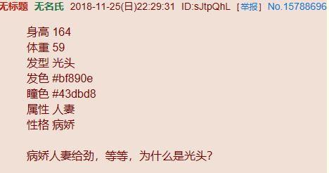 老婆生成器版 老婆生成器版