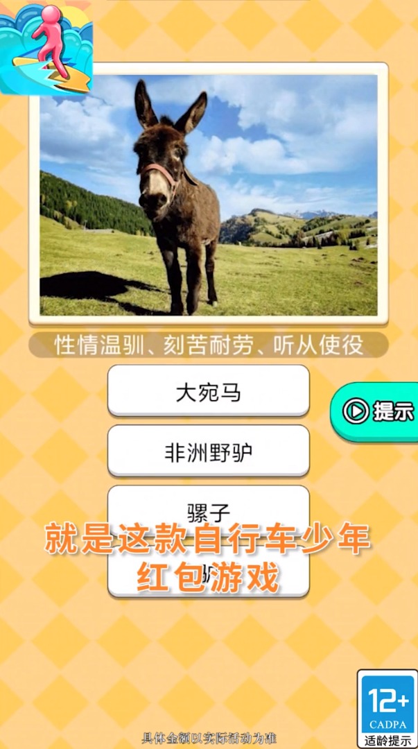 自行车少年1