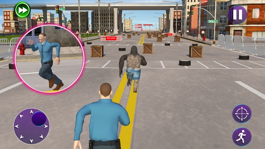 可怕的陌生人疯狂的大猩猩22