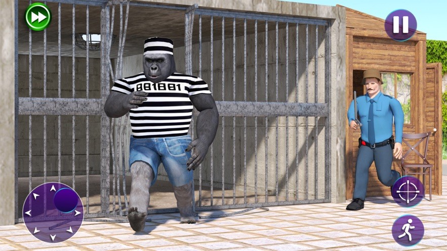 可怕的陌生人疯狂的大猩猩24