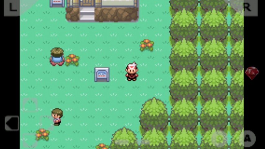 口袋妖怪漆黑的魅影上帝版1