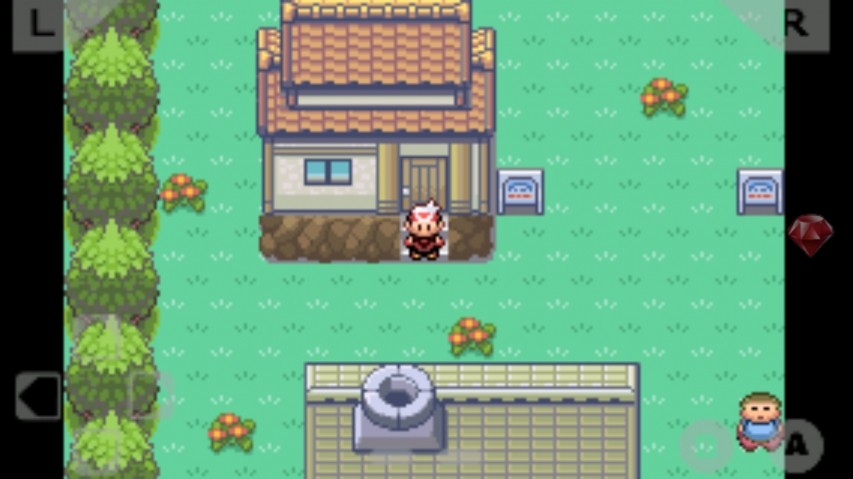 口袋妖怪漆黑的魅影上帝版2