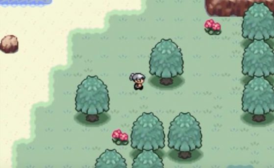 口袋妖怪火箭队二周目汉化版1