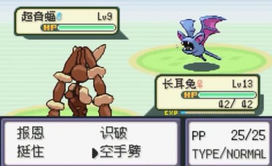 口袋妖怪火箭队二周目汉化版