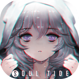 灵魂潮汐wiki