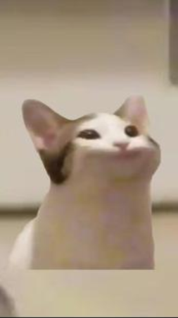 pop猫3