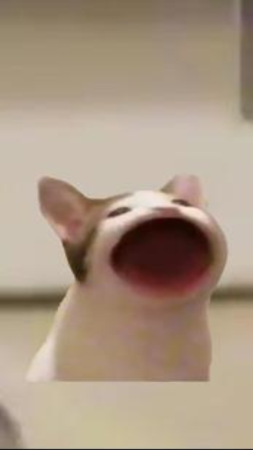 pop猫