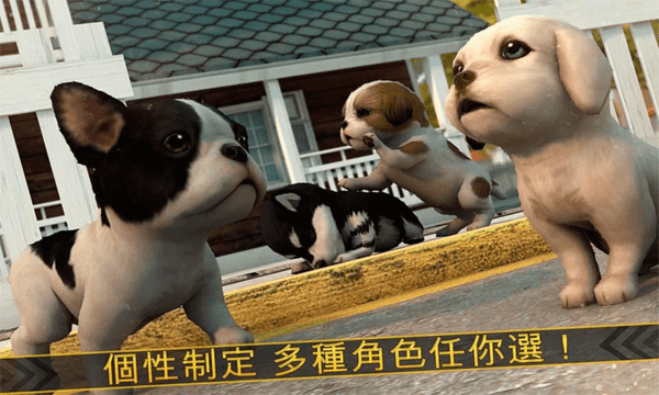 超级小汪大闯关1