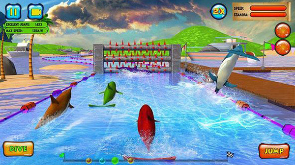 海豚比赛3D版0