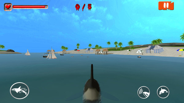 虎鲸的3d模拟器3