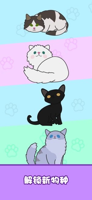 梦幻契约猫咪进化论1