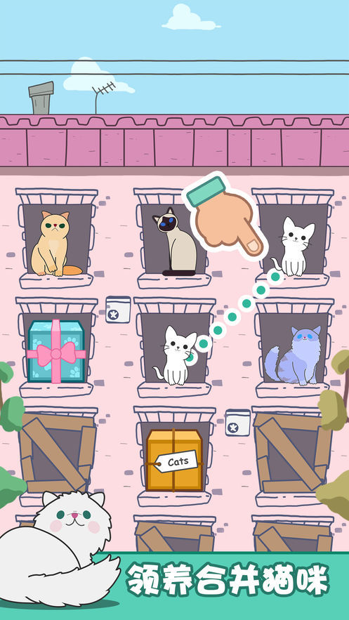 猫咪进化论心动契约1