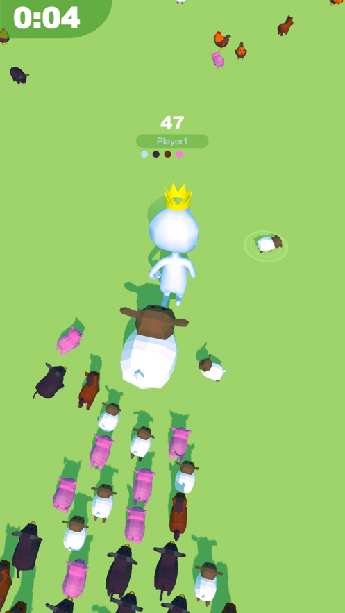 animal.io0