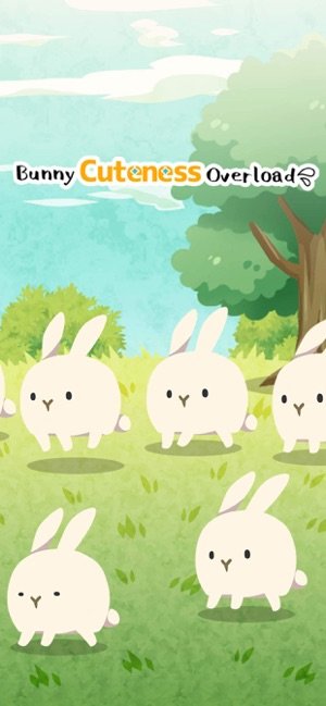 bunny cuteness overload0