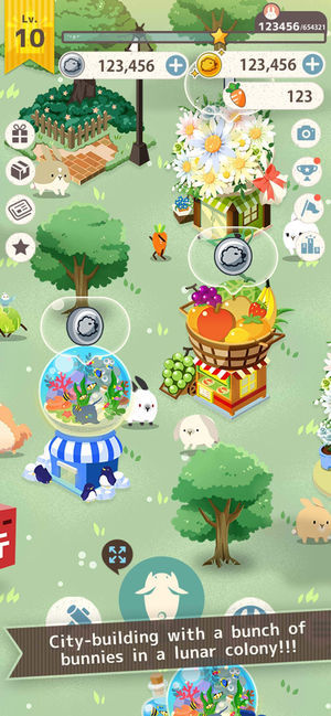 bunny cuteness overload1