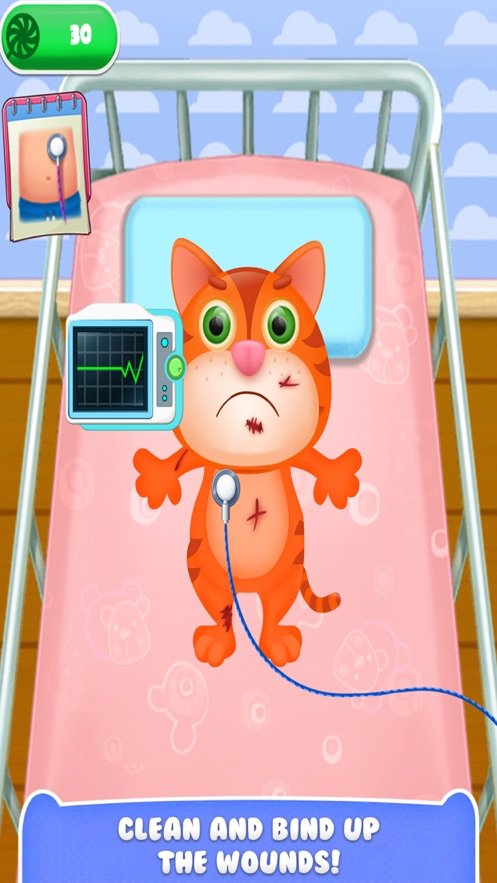 动物护理宠物医院0