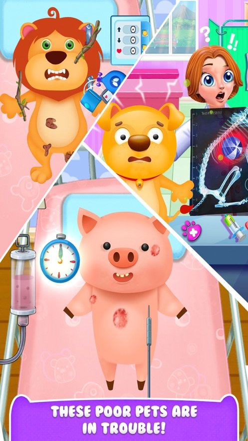 动物护理宠物医院1