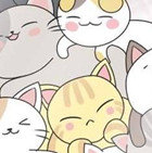 橙光请问你家缺猫吗