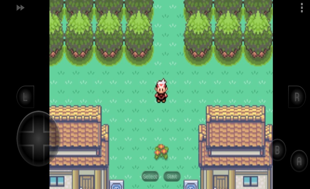 究极4小智神战版永久超进化1