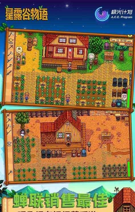 星露谷物语芜菁2