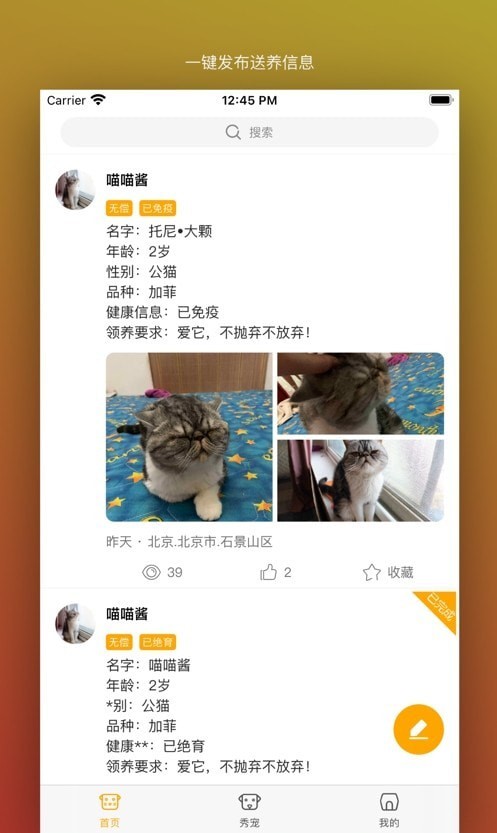 真命天喵 真命天喵