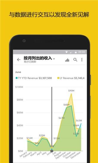 Power  BI  app