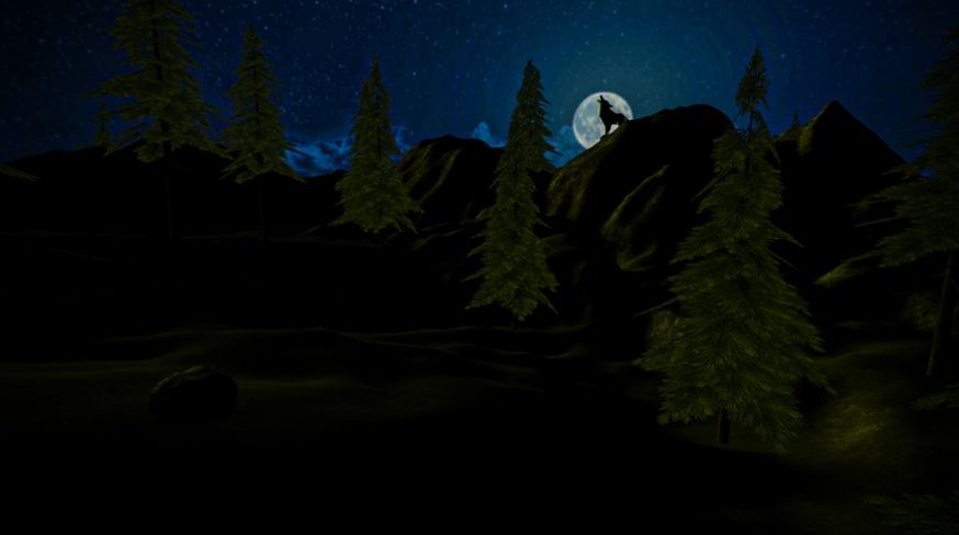 森林生存的最后一天3D2