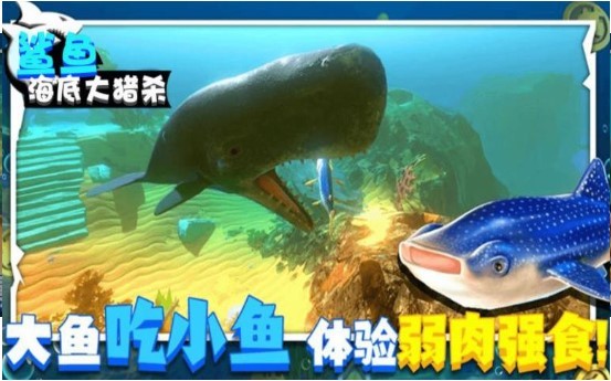 鲨鱼海底大猎杀1