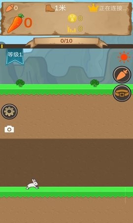 有钱兔都是孤独的1