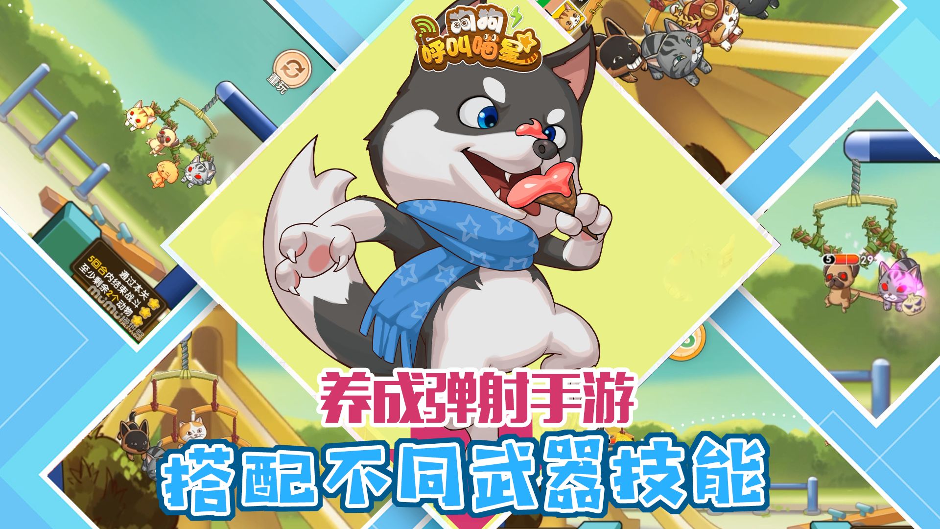 狗狗呼叫喵星测试服1
