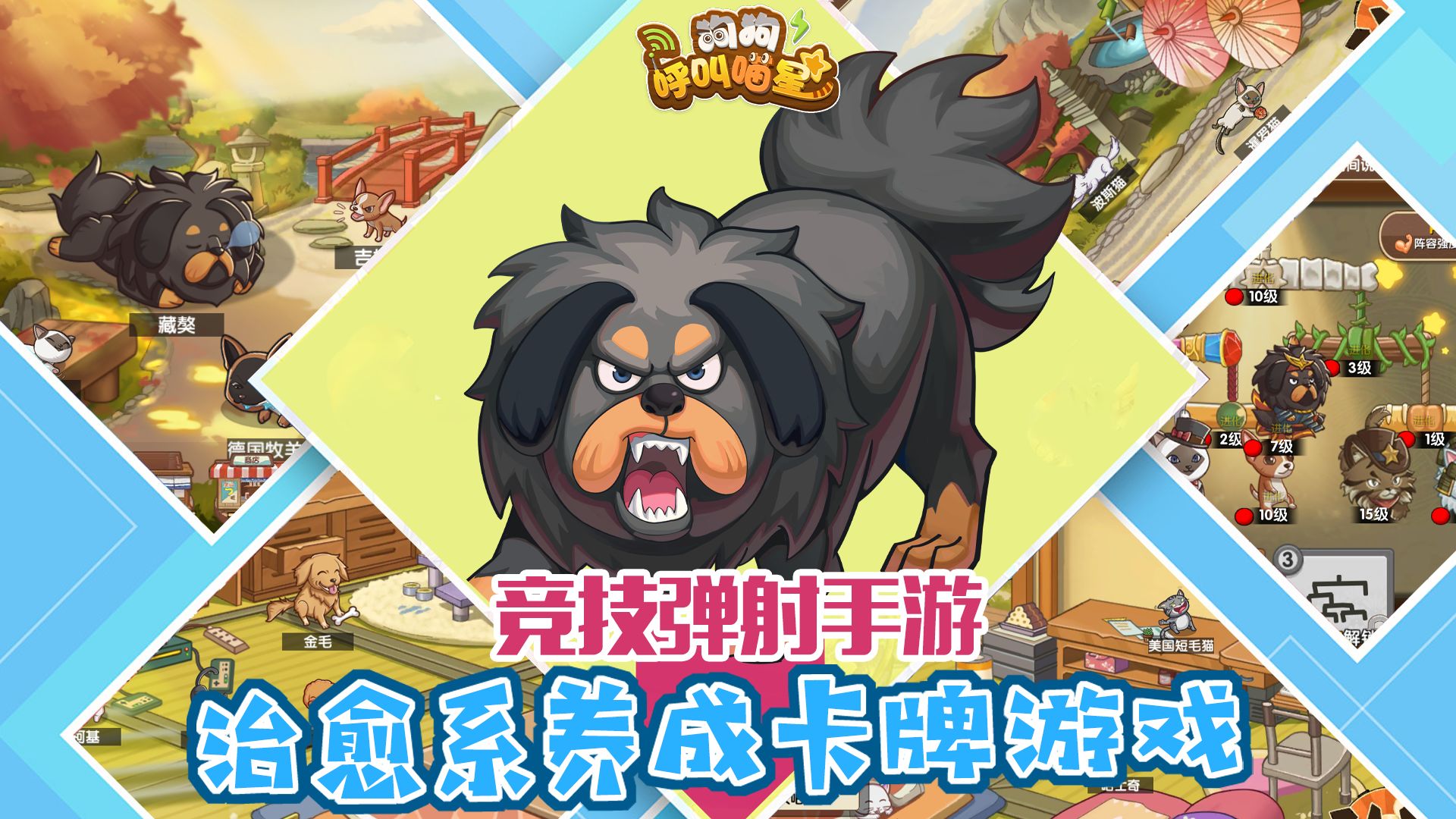 狗狗呼叫喵星测试服3