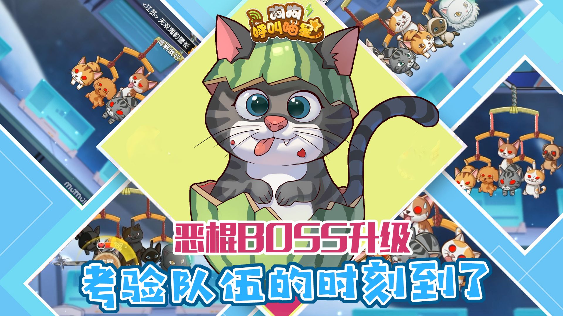 狗狗呼叫喵星测试服5