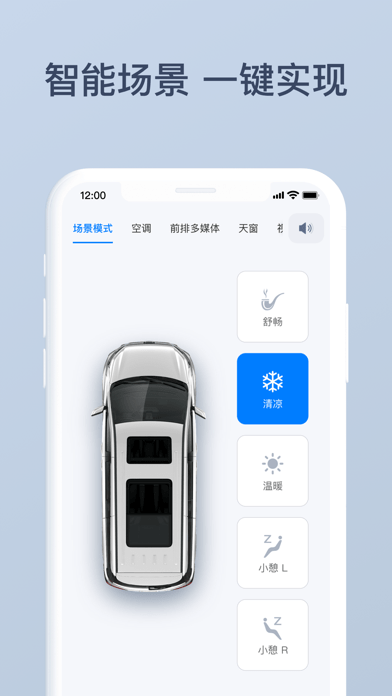 网中网0