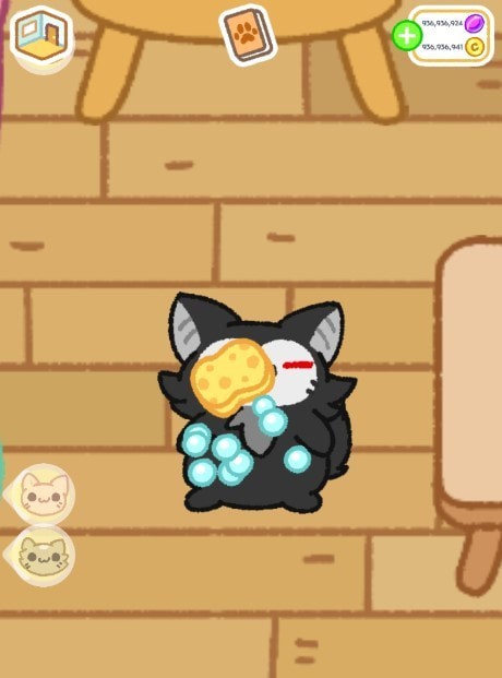 小偷猫猫2