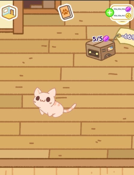 小偷猫猫4