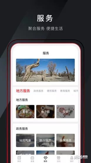 掌上温岭app下载