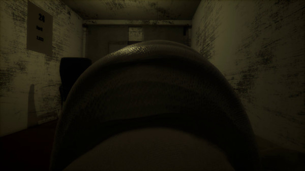 床上运动模拟器2