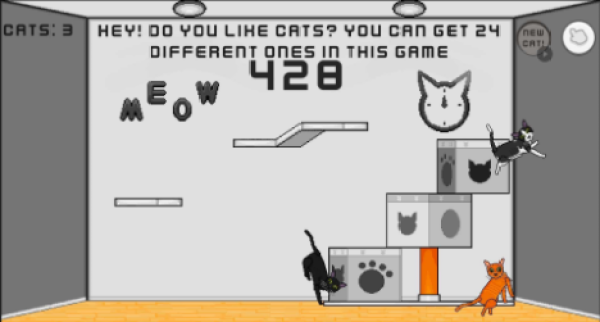 24只猫1