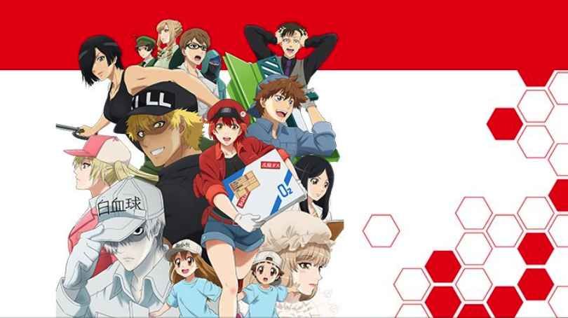 永远的工作细胞中文版3