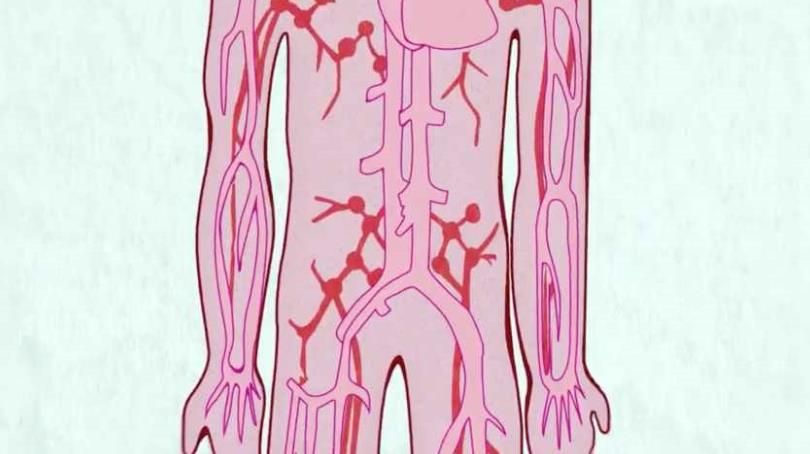 永远的工作细胞中文版 永远的工作细胞中文版
