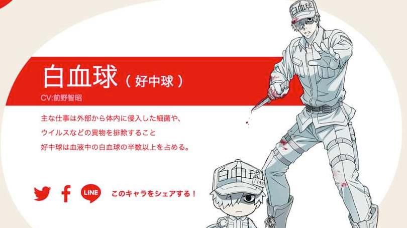 永远的工作细胞中文版 永远的工作细胞中文版