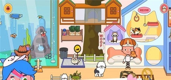 猫狗宠物美容院3