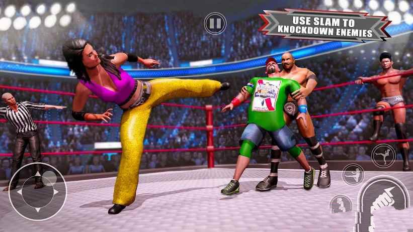 真正的WWE美式职业摔角0