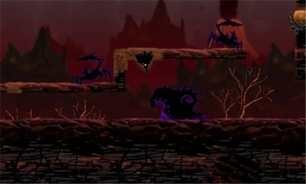 诅咒世界大冒险1