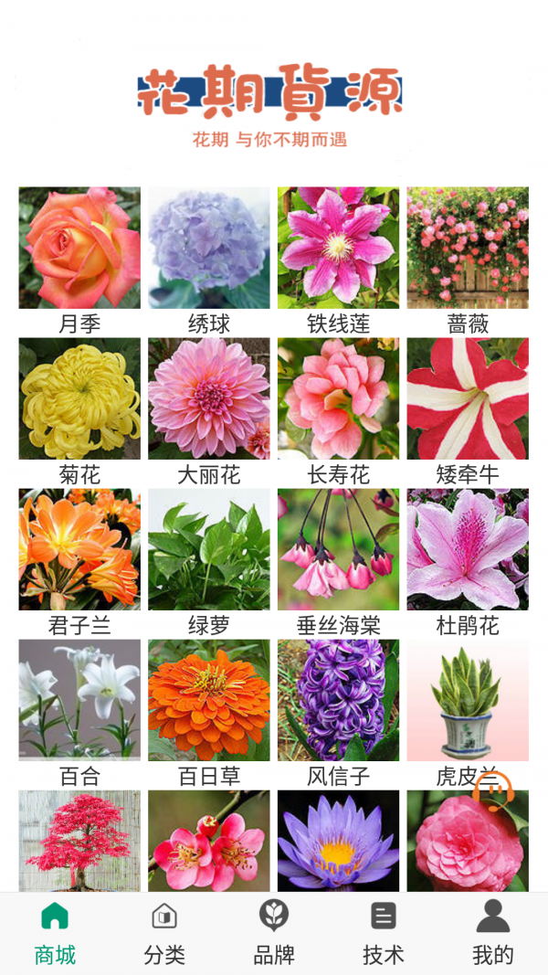 花期货源1