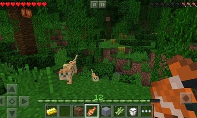 我的世界1.17.32.020