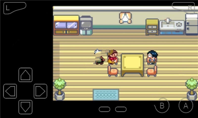 精灵宝可梦绿宝石随机版3