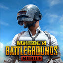 pubg国际版本