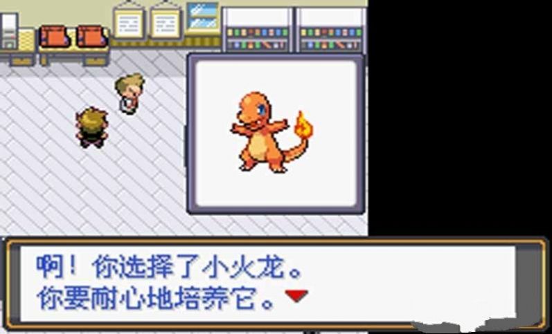 口袋妖怪火红随机rom2